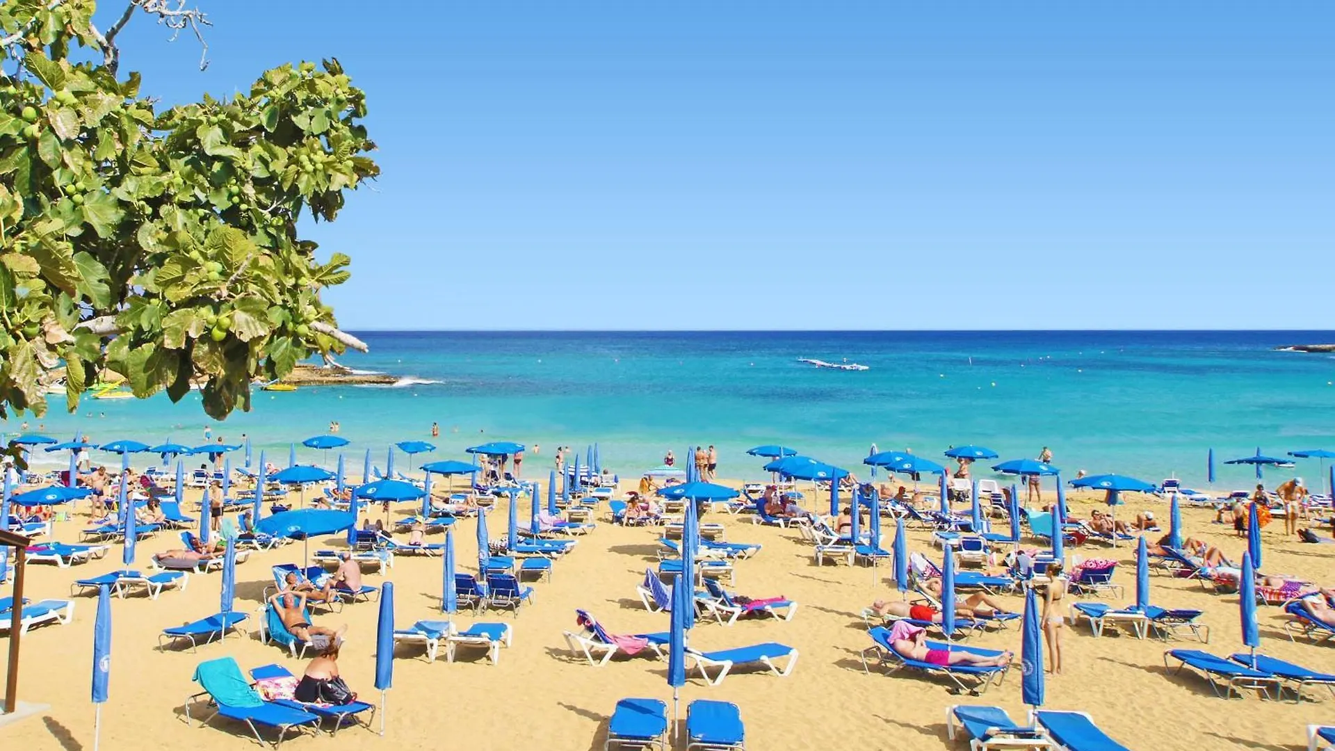 Σπίτι διακοπών Villa Napa Blu Αγία Νάπα